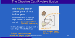 <p>How is the Cheshire Cat Illusion relevant to clinic?</p>