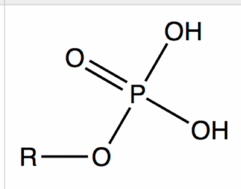 <p>(CARB) What is the name and what are the characteristics of this functional group?</p>