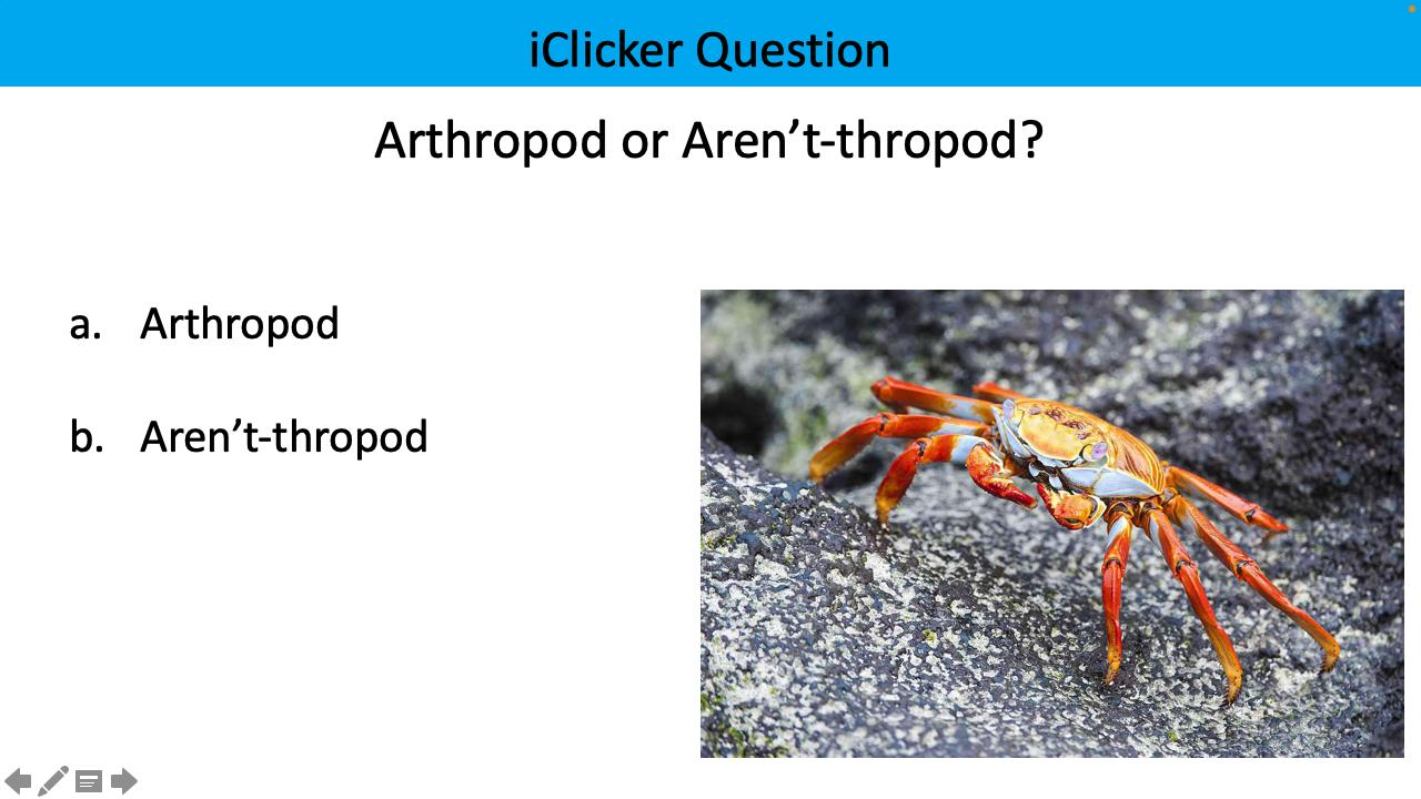 <p>arthropod or aren’t-thropod?</p>