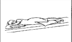 <p>what position is this?</p>