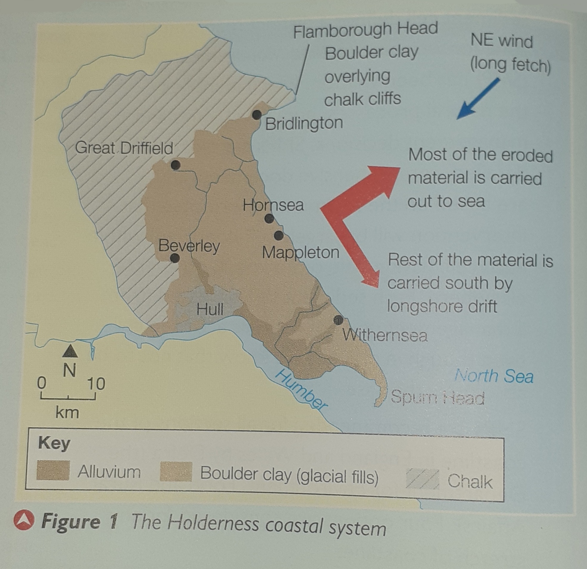 <ul><li><p>geology</p></li><li><p class="has-focus">prevailing winds (wave energy)</p></li><li><p class="has-focus">management</p></li></ul><p></p>