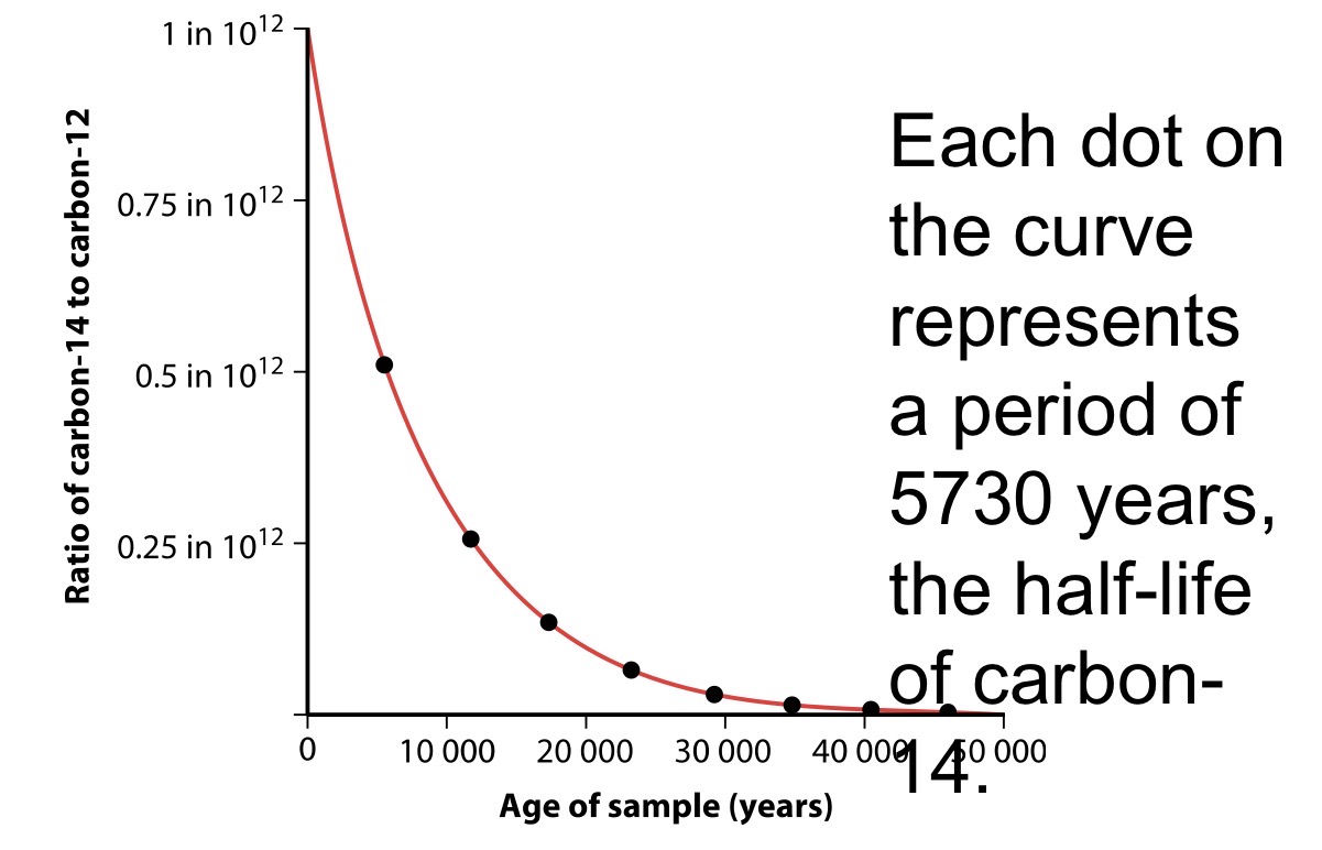 <p></p>