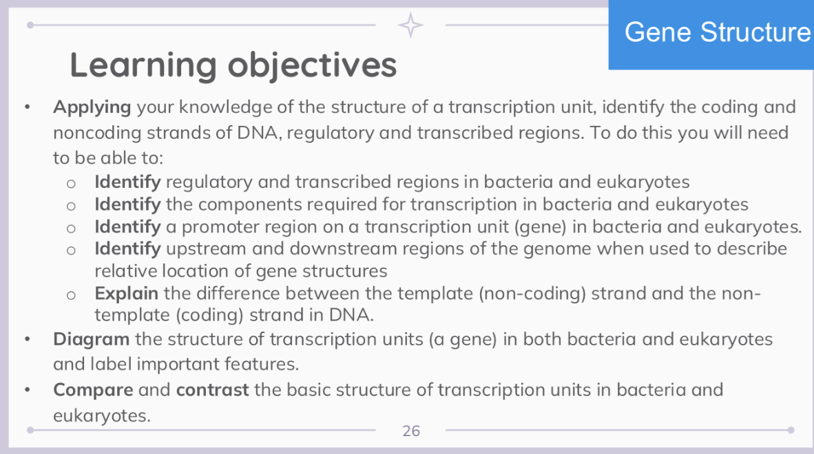 <p><strong>GENE STRUCTURE</strong></p>