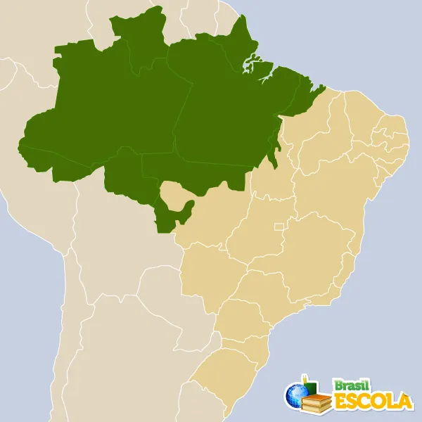 <p>Bioma Amazônico</p>