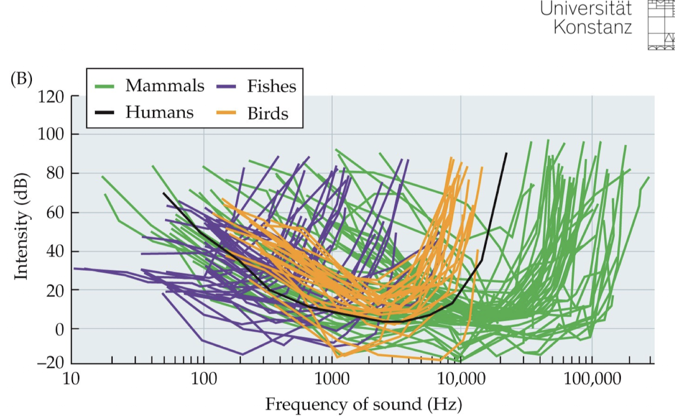 <p>What can you see in the picture?</p>