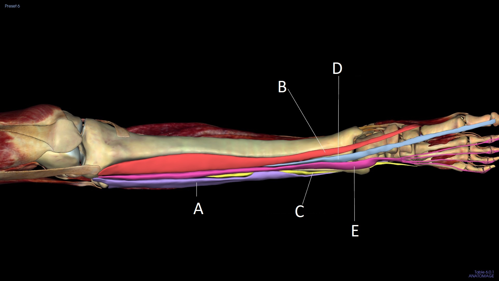 <p>A</p>