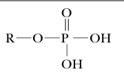 <p>Phosphoric esther group</p>