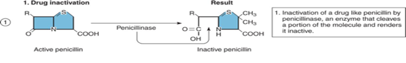 <ul><li><p>development of alternative enzymes that inactive a drug</p><ul><li><p>requires new genes</p></li></ul></li></ul><p></p>