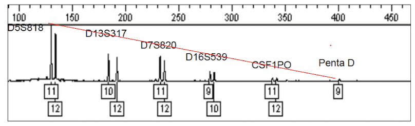 <p>this graph exhibits an example of </p>