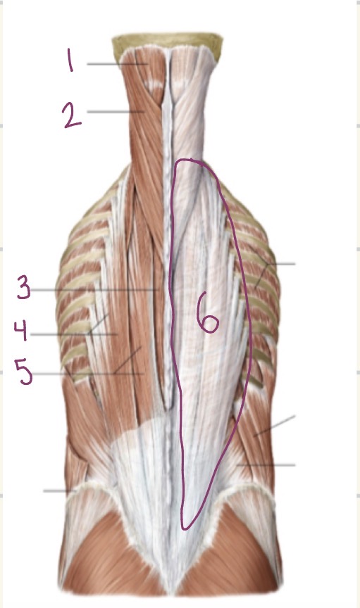 <p>1</p>