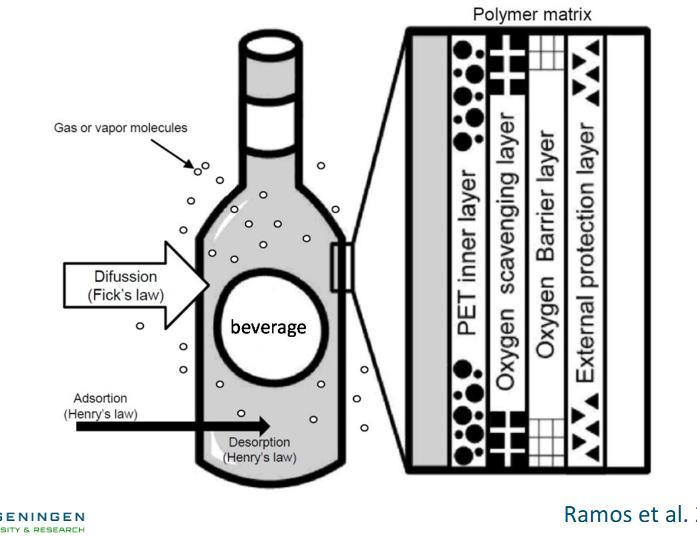 <ul><li><p>The scavenger layer is strategically put in between other layers so it only catches the oxygen passing through the packaging</p></li></ul><p></p>