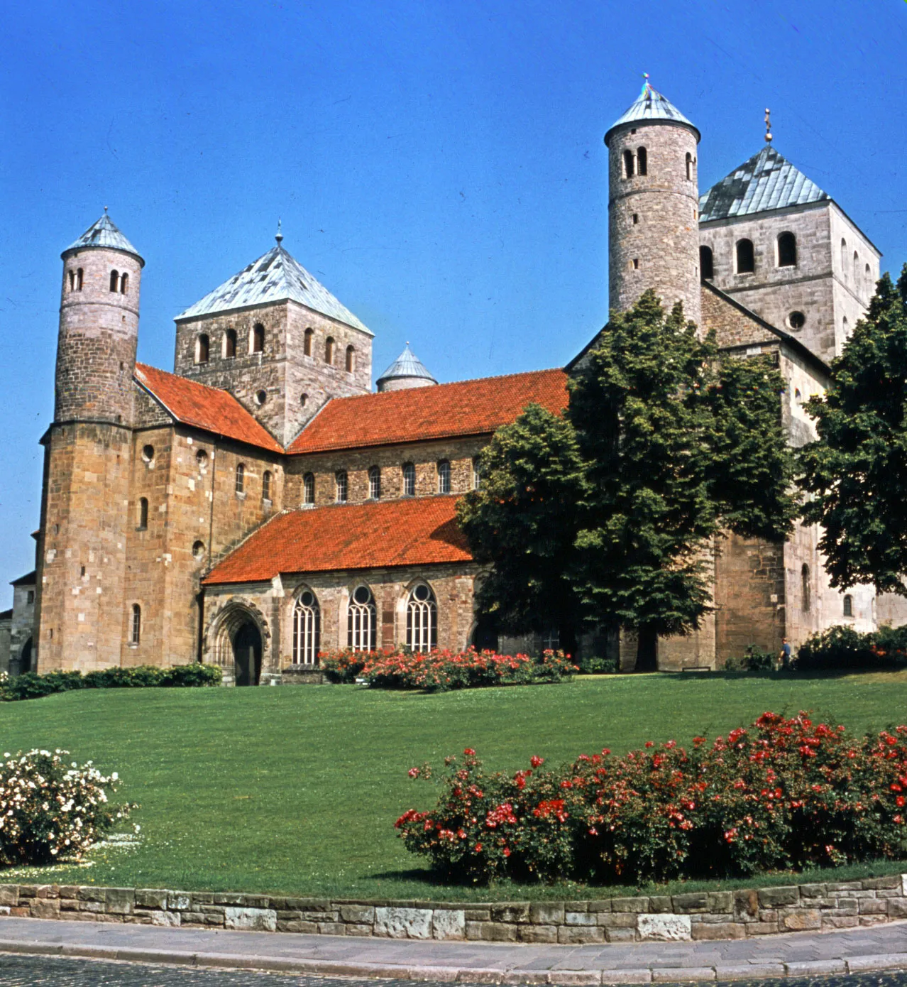 term image