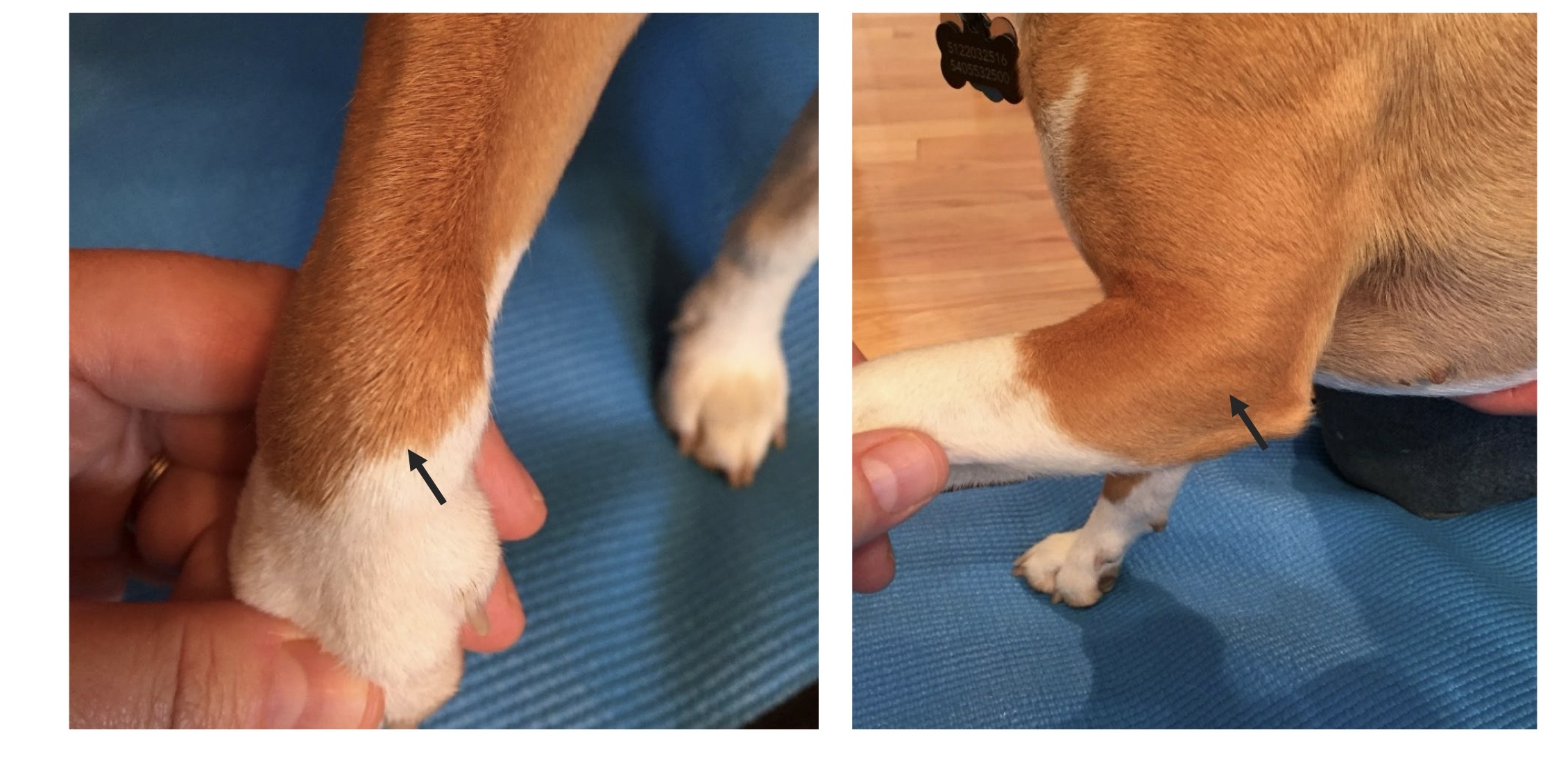 <p>what are these showing?</p>