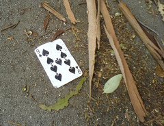 <p>Nine</p>