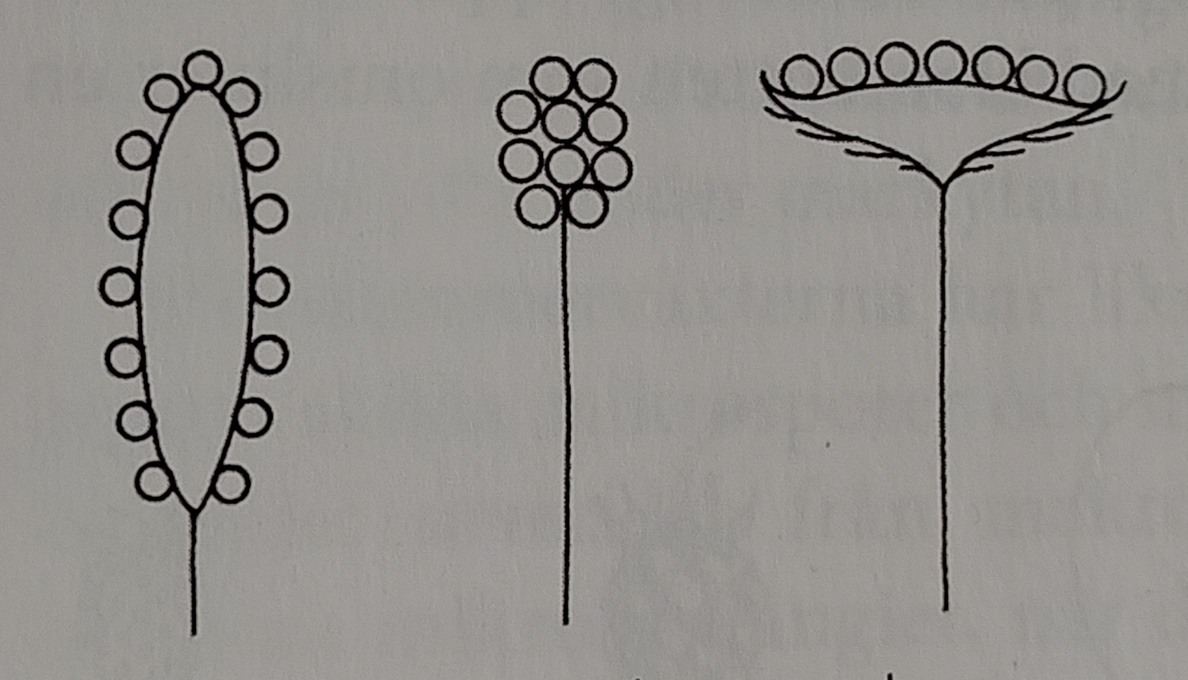 <p></p>