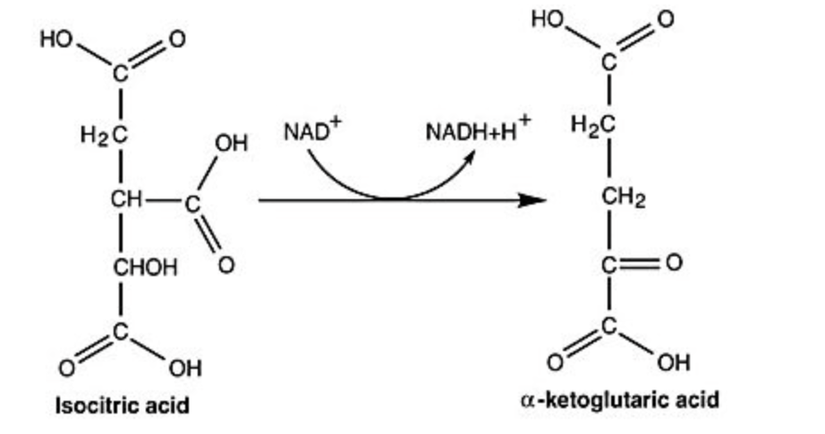 <p>Which compound is being reduced in the reaction shown in the figure?</p>