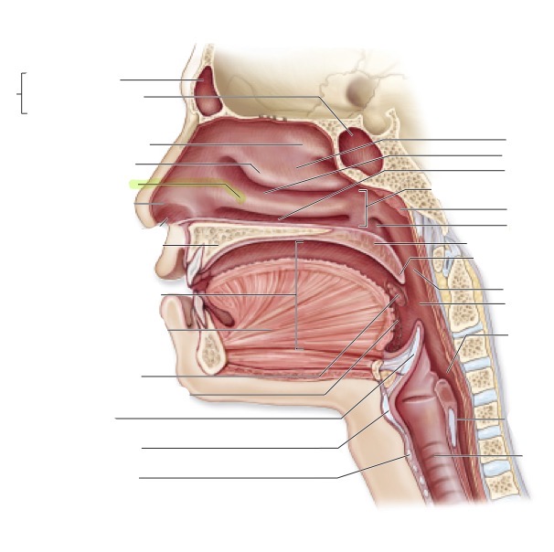 <p>what is this </p>