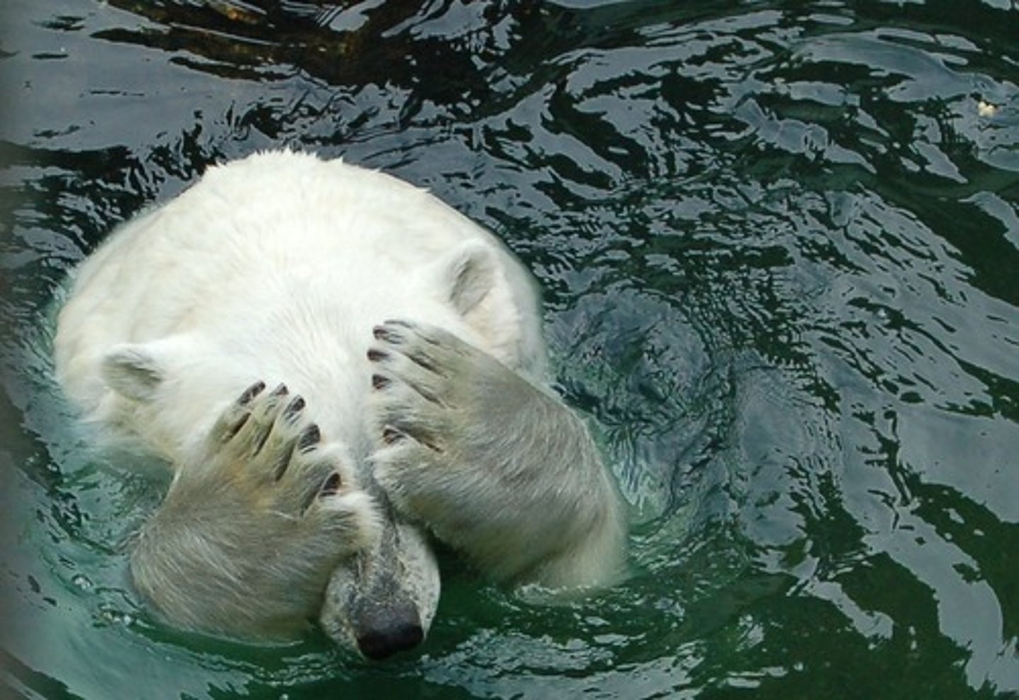 <p>vấn đề nhạy cảm khó nói của ai đó</p>