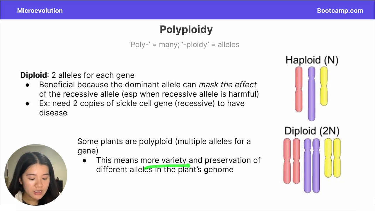 <p>form of genetic variation </p>