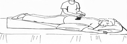 <p>what part of lungs is shaded in the image?</p>