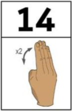 <p>palm facing me hold up pointer, middle, ring, and pinky finger flick fingers twice</p>