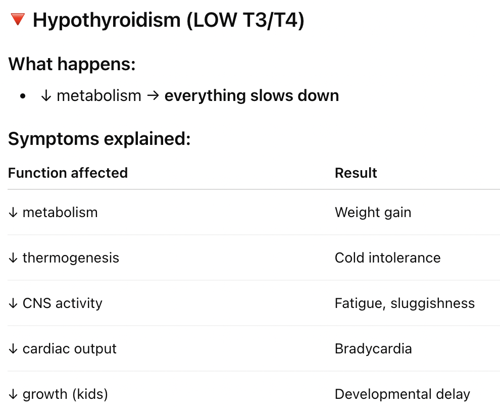 <p>hypothyroidism: underactive thyroid; low T3/T4</p>