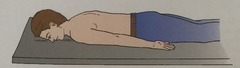 <p>lying face down</p>