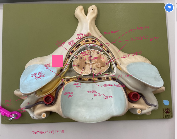 <p>What is being shown? </p>