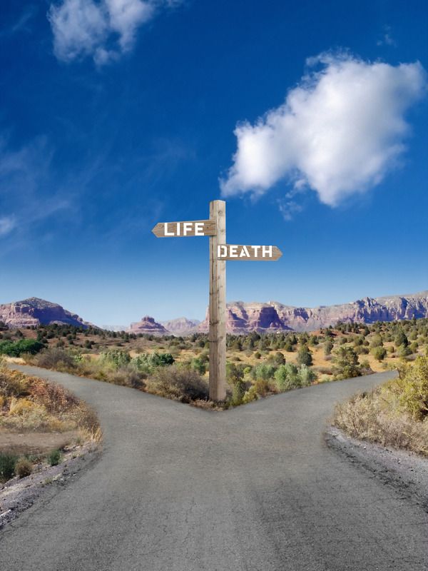 <p>(be) on the right track (idiom)</p>