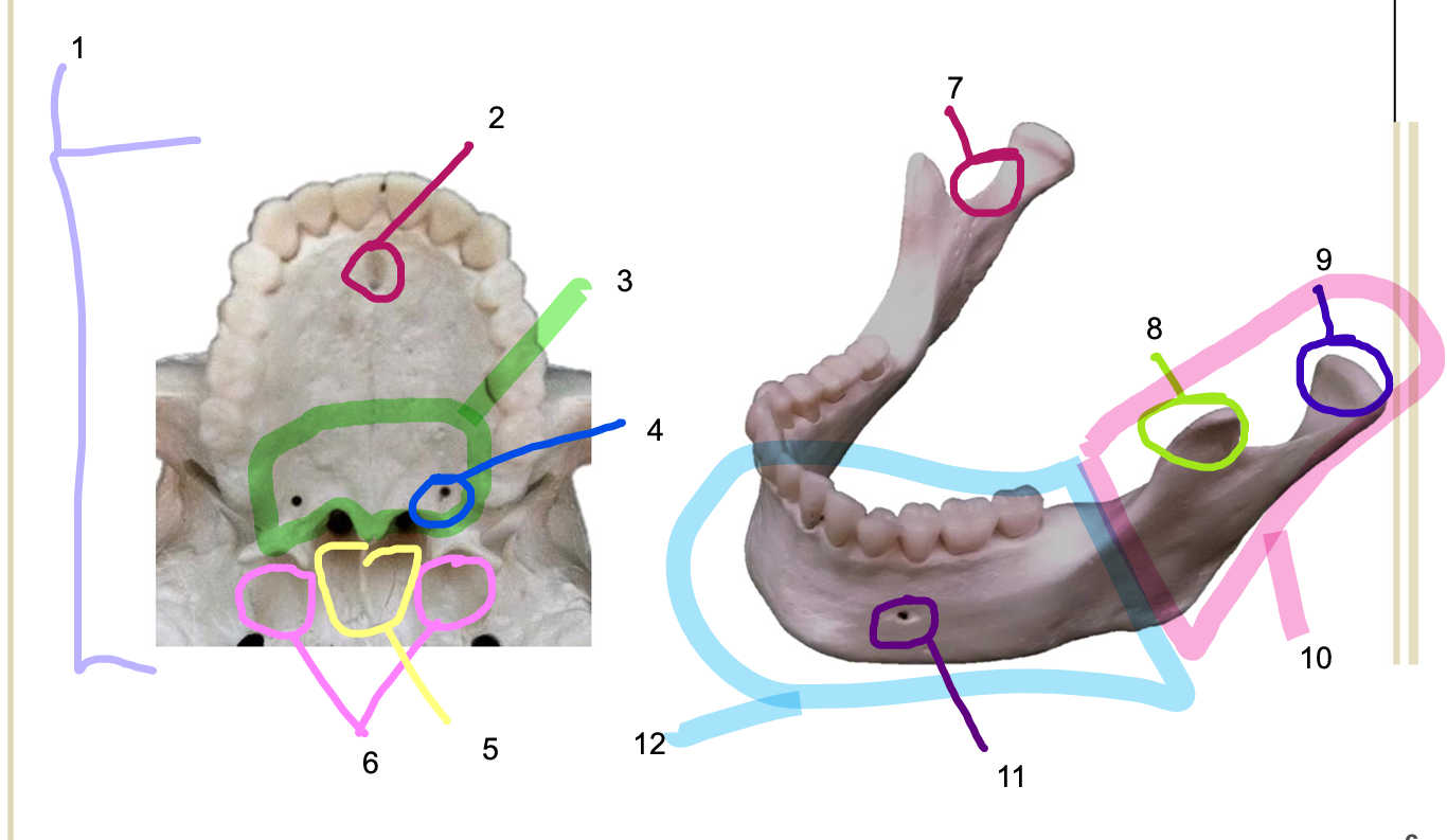 <p>Structure 9</p>