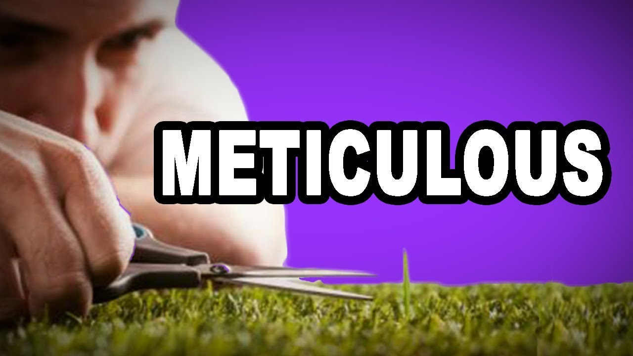 <p>meticulous</p>