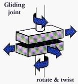 <p>A gliding joint allows one bone to slide on top of another, eg. carpals/tarsals</p>