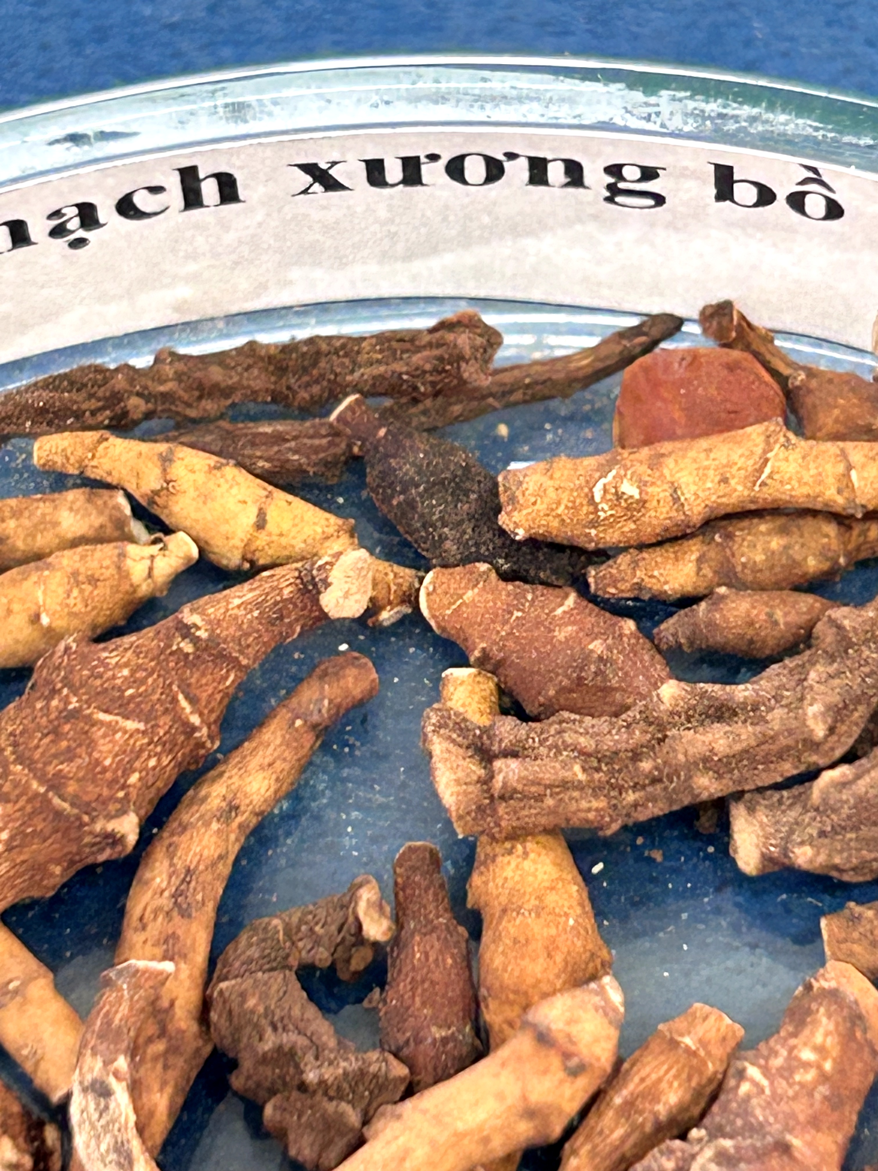 <p>thạch xương bồ</p>