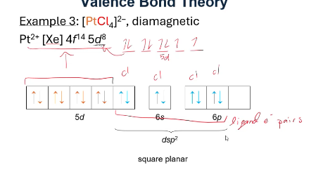 <p>2 electrons per chlorine, they each have their own electron pair through covalent bonding (VBT)</p>