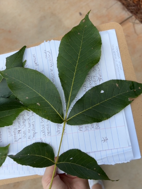 <p>what is this? how to identify?</p>