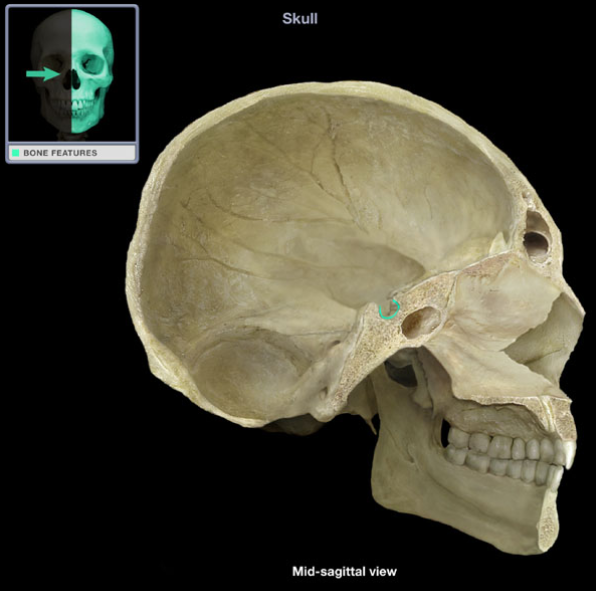 <p>What is the name of this structure?</p>