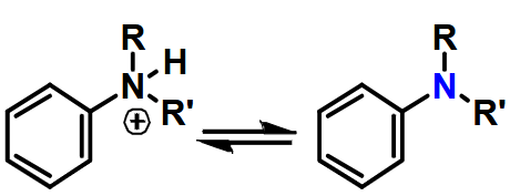 <p>Aromatic Amine (Arylamine)</p>