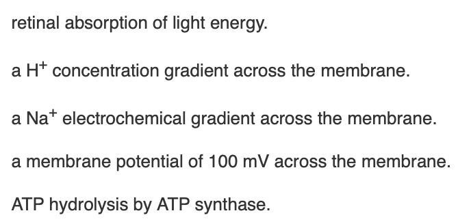 <p><span>The energy necessary to drive the bacteriorhodopsin proton pump that creates the proton gradient needed for ATP synthesis is generated by</span></p>