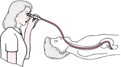 <p>visual examination</p>
