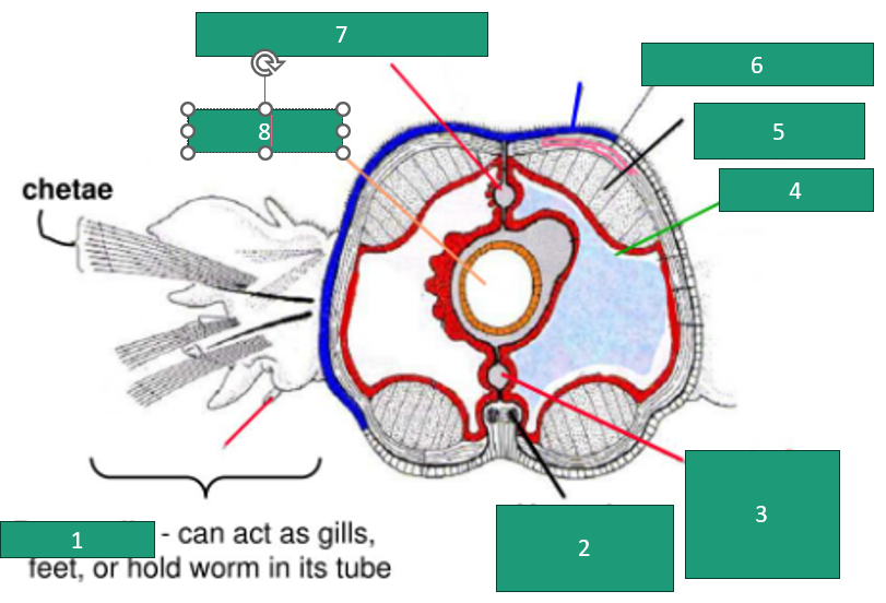 <p>What is 3?</p>