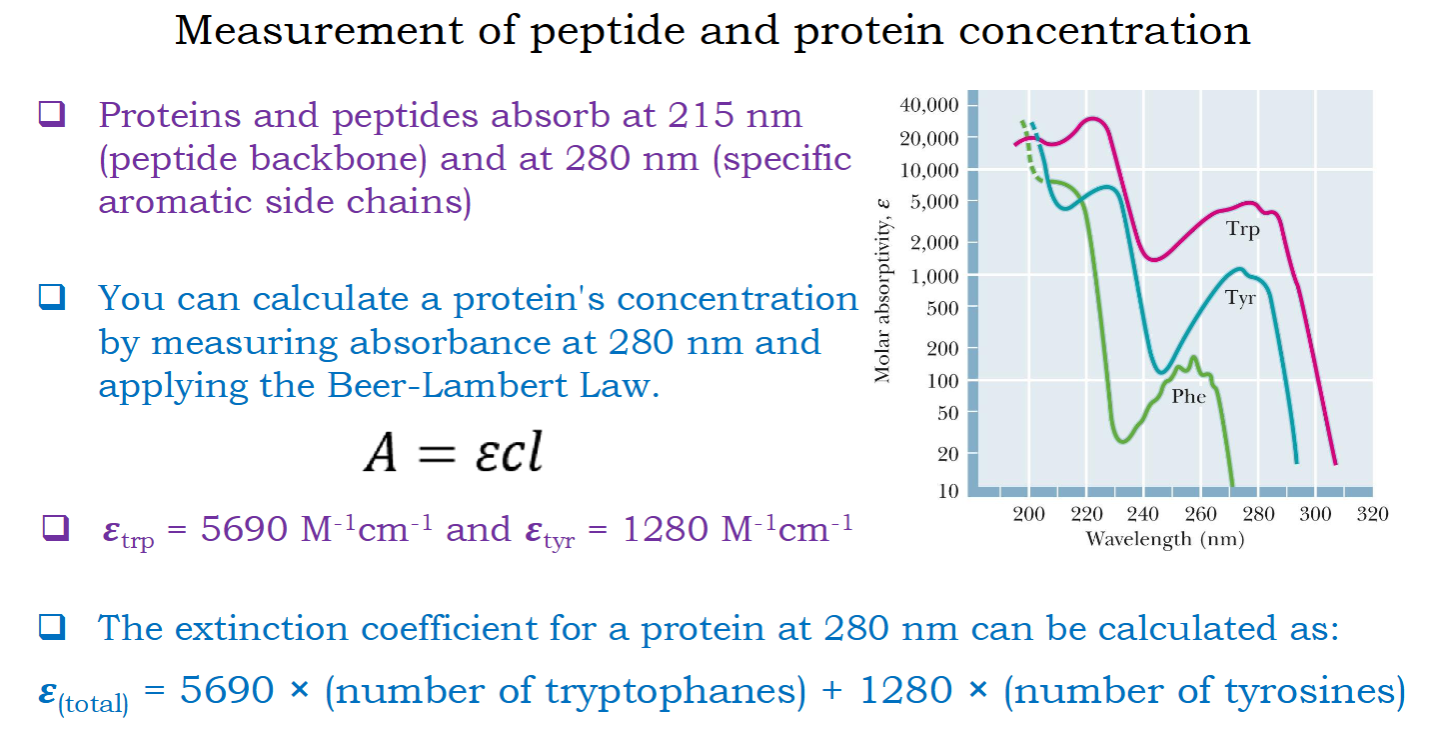 <p><span>The extinction coefficient for a protein at 280 nm can be calculated as:<br>šŗ(total) = 5690 Ć (number of tryptophanes) + 1280 Ć (number of tyrosines)</span></p>