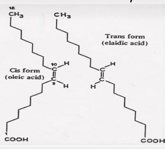 <ul><li><p>type of trans fatty acid which means this is an unsaturated fatty acid</p></li><li><p>image: you can see that of the two strings of carbons on either side of the double bond are facing/moving towards the same direction</p></li><li><p>when the cis forms of the fatty acid are being cooked with the fatty acid breaks down and they end up getting converted to the trans form</p></li></ul><p></p>
