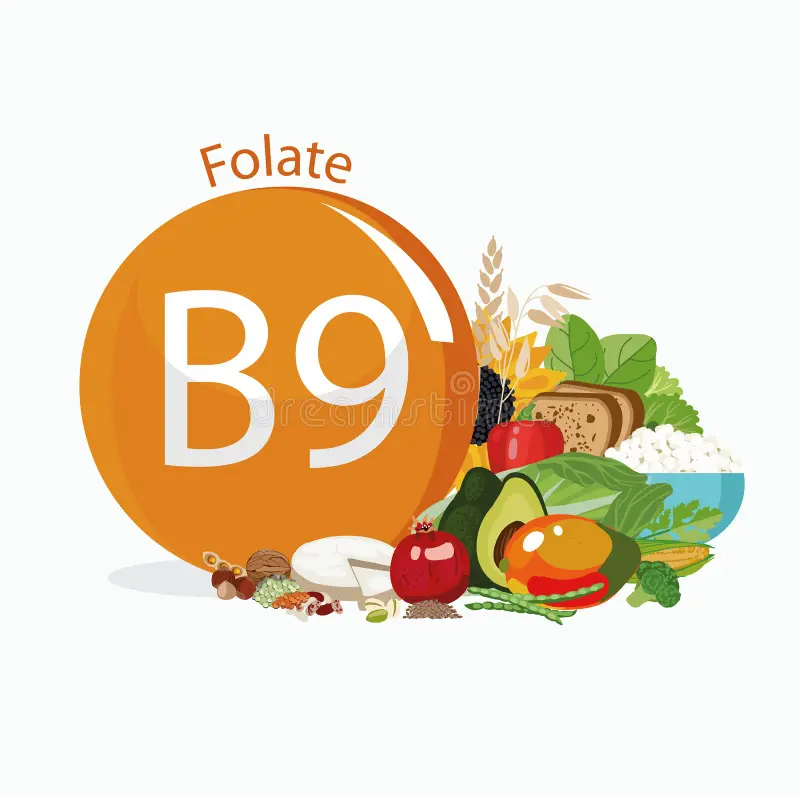 <p>Folate deficiency</p>