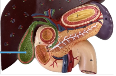 <p>name the parts</p>