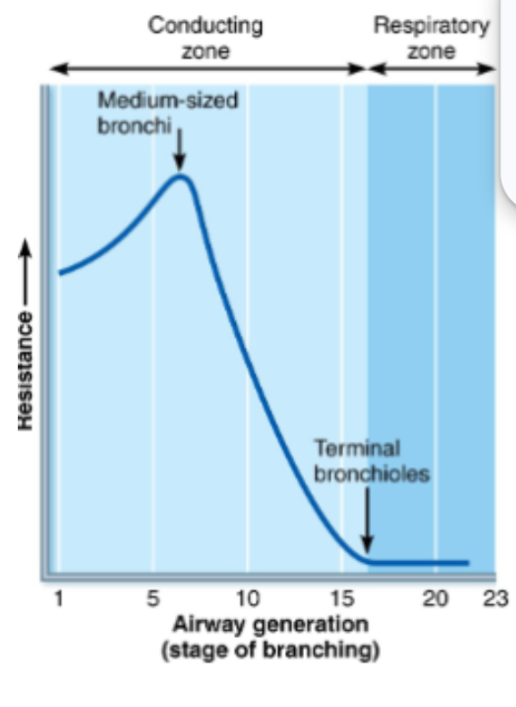 <ol><li><p><span style="background-color: transparent;">Airway resistance</span></p></li><li><p><span style="background-color: transparent;">Alveolar Surface Tension</span></p></li><li><p><span style="background-color: transparent;">Lung compliance</span></p></li></ol><p></p>