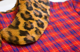 <p>не сочетающиеся узоры</p>