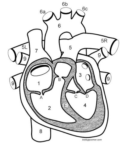 <p>#2</p>