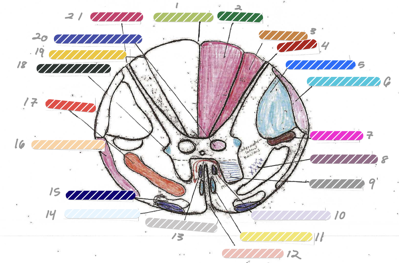<p>6</p>