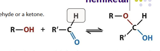 <p>The addition of an alcohol to the carbon of an aldehyde will generate this; changes geometry from planar to tetrahedral and forms a reducing end. Happens when linear aldose sugars circularize and form rings</p>