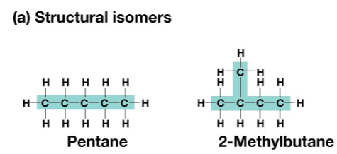 <p>structural isomer</p>